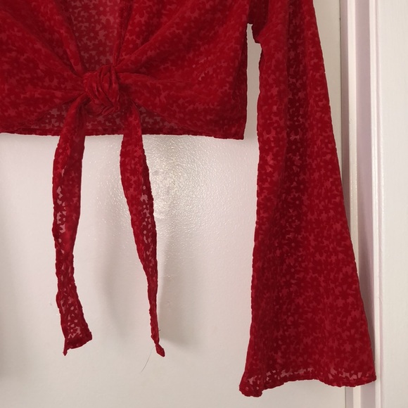NWT Wild Fable Target Red Suede Floral Translucent Tie Crop Top Long Sleeves - S - Picture 9 of 12